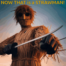 a picture of a scarecrow holding a sword with the words now that is a strawman