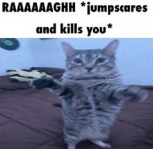 a cat standing on its hind legs with a caption that says raaaaaghh jumpscare and kills you