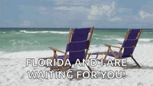 two purple beach chairs on the beach with the words florida and i are waiting for you .