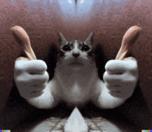 a cat is giving a thumbs up in a mirrored image