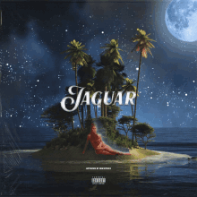 a jaguar album cover shows a woman laying on a small island in the ocean