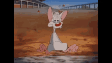 pinky and the brain is a cartoon character sitting in the dirt .