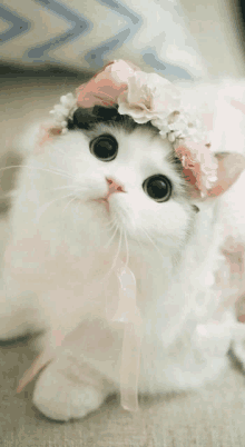 a white cat wearing a floral crown on its head