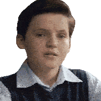 a young boy wearing a white shirt and a blue vest looks at the camera