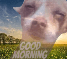 a dog is standing in a field of flowers with the words `` good morning '' written on it .