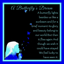 a butterfly 's dream is written on a blue background