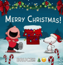 a cartoon of charlie brown and snoopy saying merry christmas