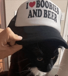 a black and white cat wearing a hat that says i heart boobies and beer