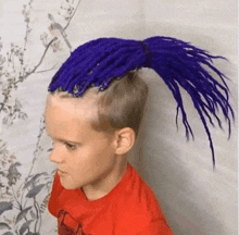 a young boy with purple dreadlocks and a red shirt .