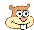 a cartoon drawing of sandy cheeks from spongebob squarepants smiling with big eyes .