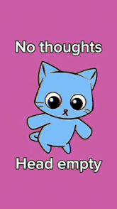 a picture of a cat with the words no thoughts head empty below it