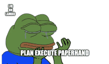 a frog with a blue shirt is crying with the caption plan execute paperhand