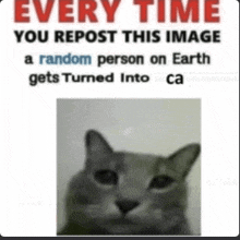 a cat is on a poster that says every time you repost this image a random person on earth gets turned into ca .