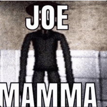 a shadow of a person with the words joe mamma written on it