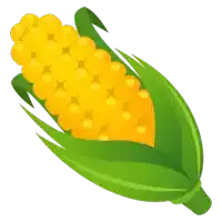 a cartoon illustration of corn on the cob with green leaves