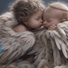 two babies are kissing each other while wrapped in angel wings .