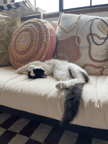 a black and white cat is sleeping on a couch with pillows