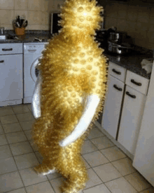 a person wearing a gold costume is standing in a kitchen .