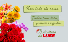 a bunch of flowers are displayed on a poster that says floricultura do lider