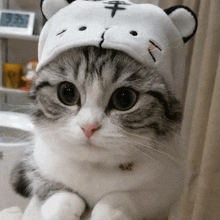 a cat wearing a white hat with a tiger on it