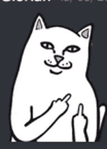 a white cat is giving a middle finger .