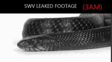 a black and white photo of a snake with the caption swv leaked footage