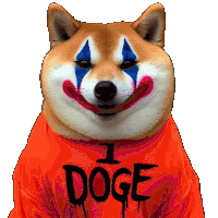 a dog wearing a shirt that says i doge on it