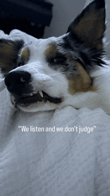 a dog laying on a bed with the words " we listen and we don 't judge " on the bottom