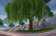 a tree with lots of green leaves is surrounded by rocks and a road