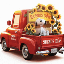 snoopy is in the back of a red truck that says buenos dias suenos dias