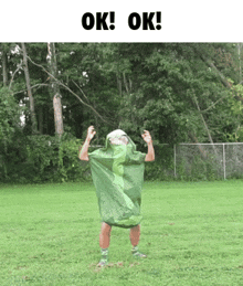 a man in a green raincoat is standing in a grassy field with the words " ok " above him