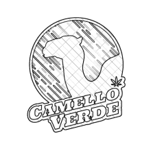 a drawing of a camel with the words camello verde below it