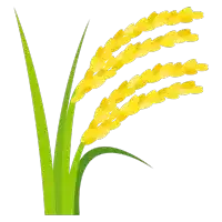 a drawing of a plant with yellow flowers and green leaves on a white background