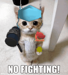 a cat wearing a mask and holding a hammer says no fighting !