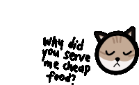 why did you serve me cheap food with a cat