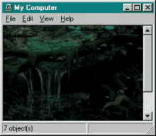 a computer screen shows a picture of a swamp and says my computer