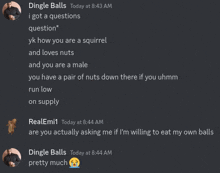 a screenshot of a conversation between dingle balls and realem1