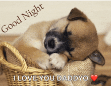 a puppy sleeping in a wicker basket with the words good night i love you daddyo above it