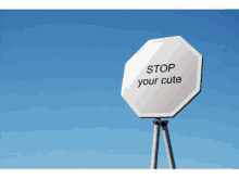 a stop sign that says " stop your cute " on it