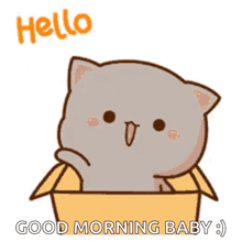 a cartoon cat is sitting in a cardboard box and saying good morning baby