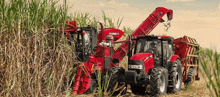 a case ii tractor is being used to harvest sugarcane