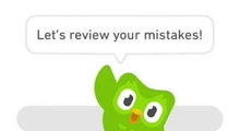 a green cartoon owl with a speech bubble that says `` let 's review your mistakes ! ''