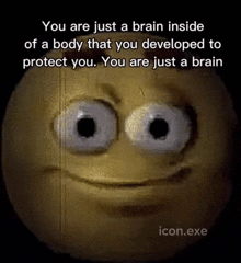 a cartoon face with a caption that says you are just a brain inside of a body that you developed to protect you .