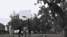 a group of people playing basketball in a park with a basketball hoop that says ' hoop ' on it