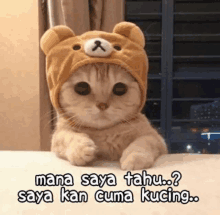 a cat wearing a teddy bear hat with the words mana saya tahu saya kan cuma kucing below it .