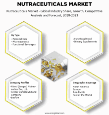 nutraceuticals market - global industry share growth competitive analysis and forecast 2018 - 2023