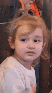 a little girl with a ponytail and a white shirt looks at the camera