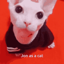 Joncatlol GIF