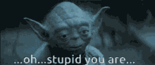 yoda says oh stupid you are in a star wars scene