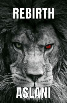 a black and white photo of a lion with the words rebirth aslani on it